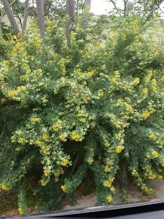 別荘 Atrium Alambra